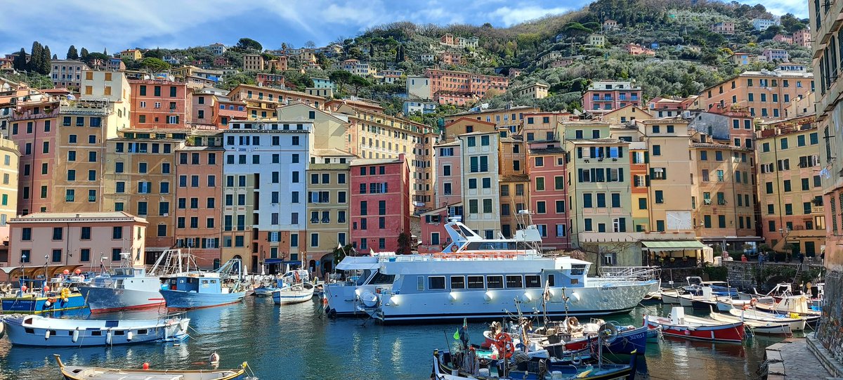 Camogli

#Liguria
#LuoghiDEstate
#VentagliDiParole 

📷 mia