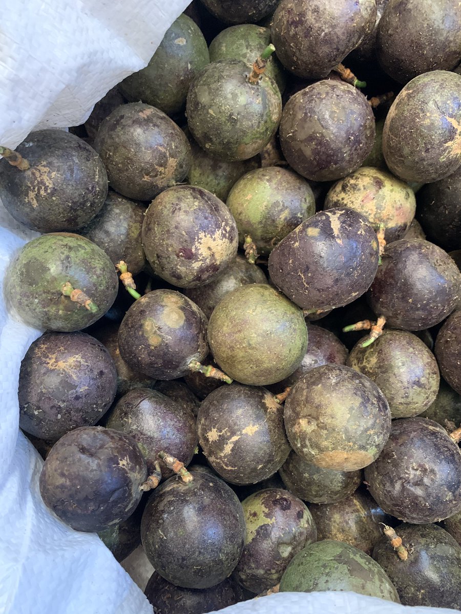 UwayoPaula's tweet image. My next client could be on your time line.
Please retweet!!
Silinamu za lunch😩
Passion fruits available
0787765485/0741448364