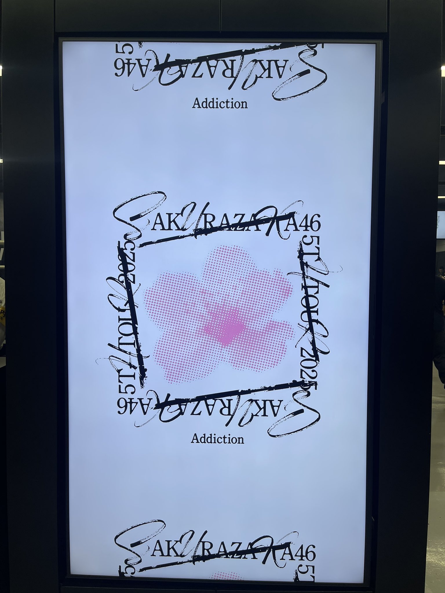 石森璃花 東京ドーム撮り下ろしプレミアム生写真 石森璃花 東京ドーム撮り下ろしプレミアム生写真 石森璃花 東京