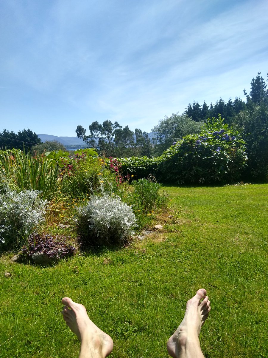 Stephen Cochrane tweet media