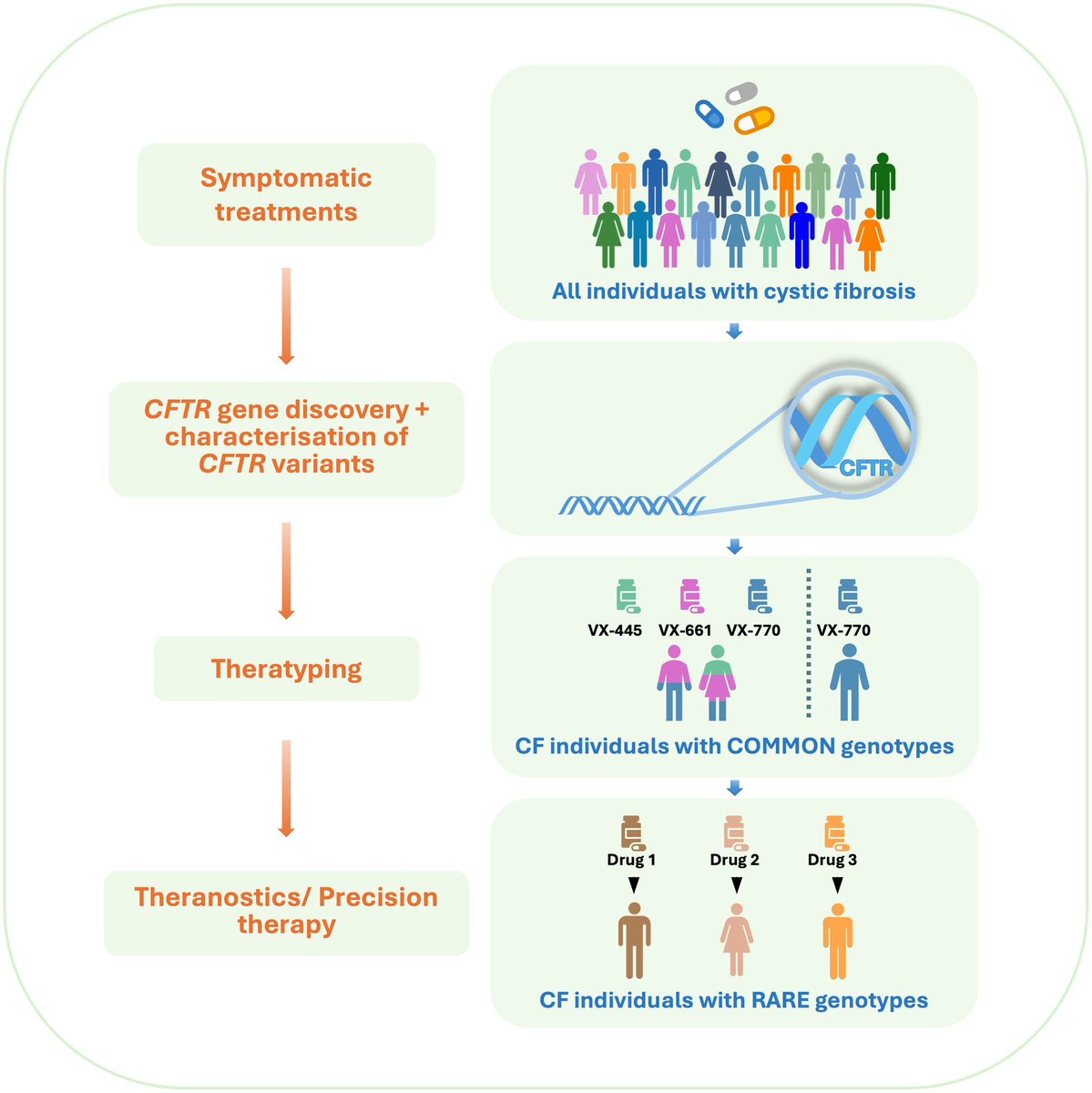 FEBS_Letters's tweet image. 💊From gene discovery to life-changing therapies, #CysticFibrosis is a triumph of translational science! Read about new successes in CFTR modulators & gene therapy:
febs.onlinelibrary.wiley.com/doi/10.1002/18… #CF #PrecisionMedicine
