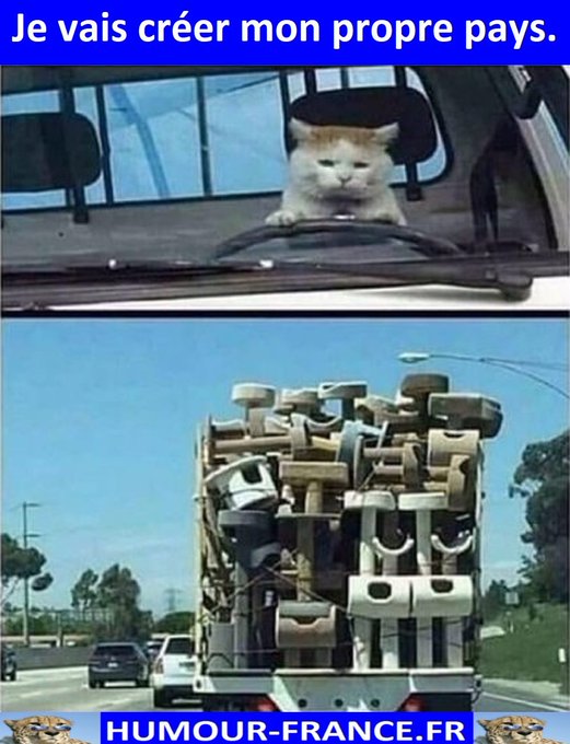 text alternatif