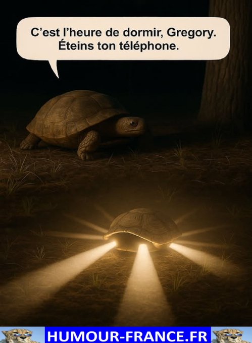 text alternatif