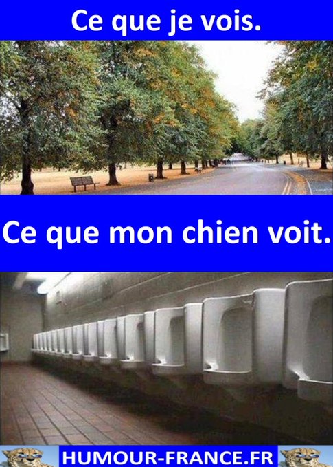 text alternatif