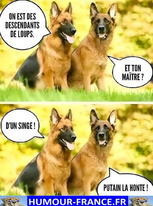 text alternatif