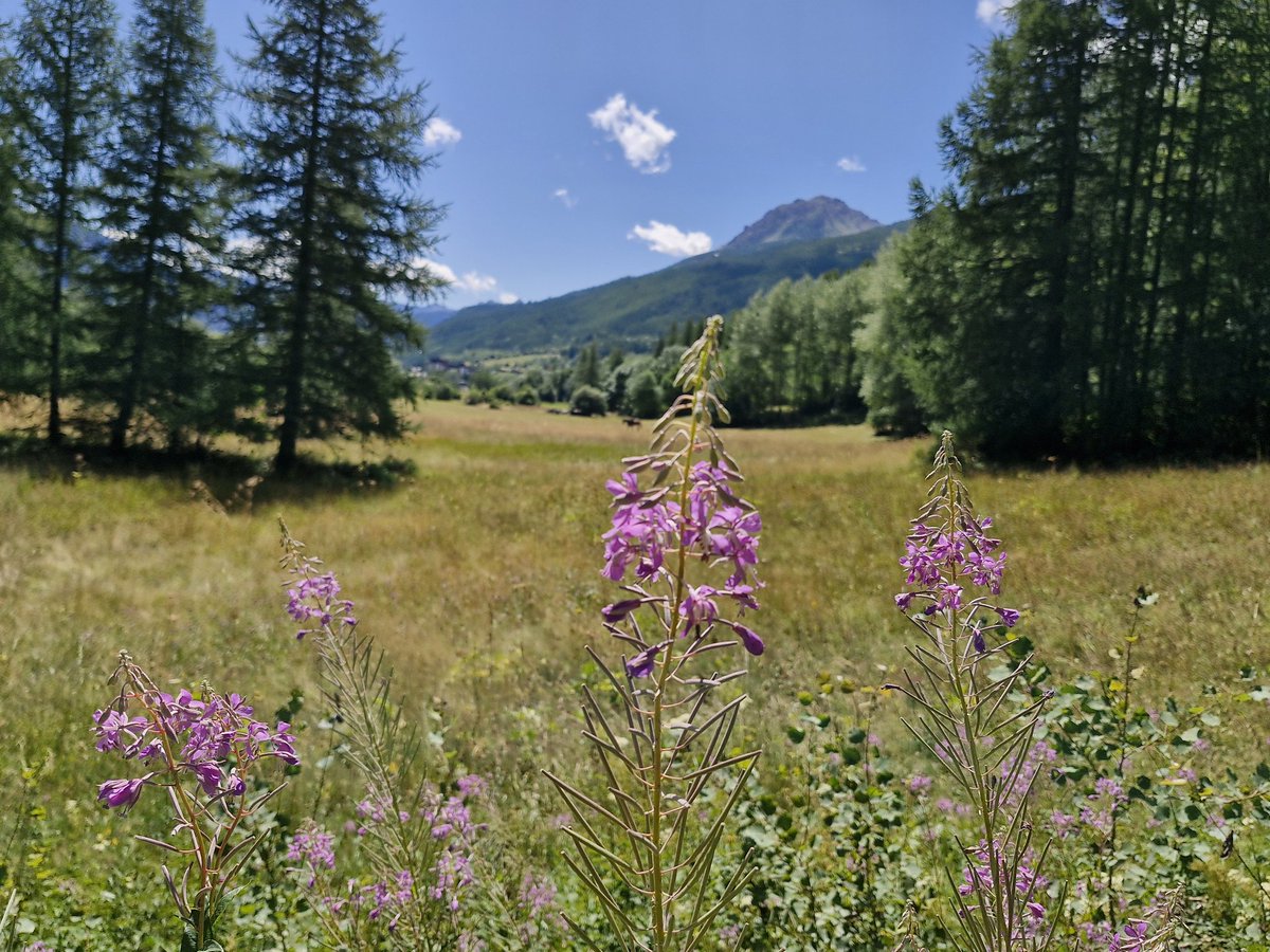 XRPL_DEMON's tweet image. Goodmorning 🏞 Serre Chevalier 🥰