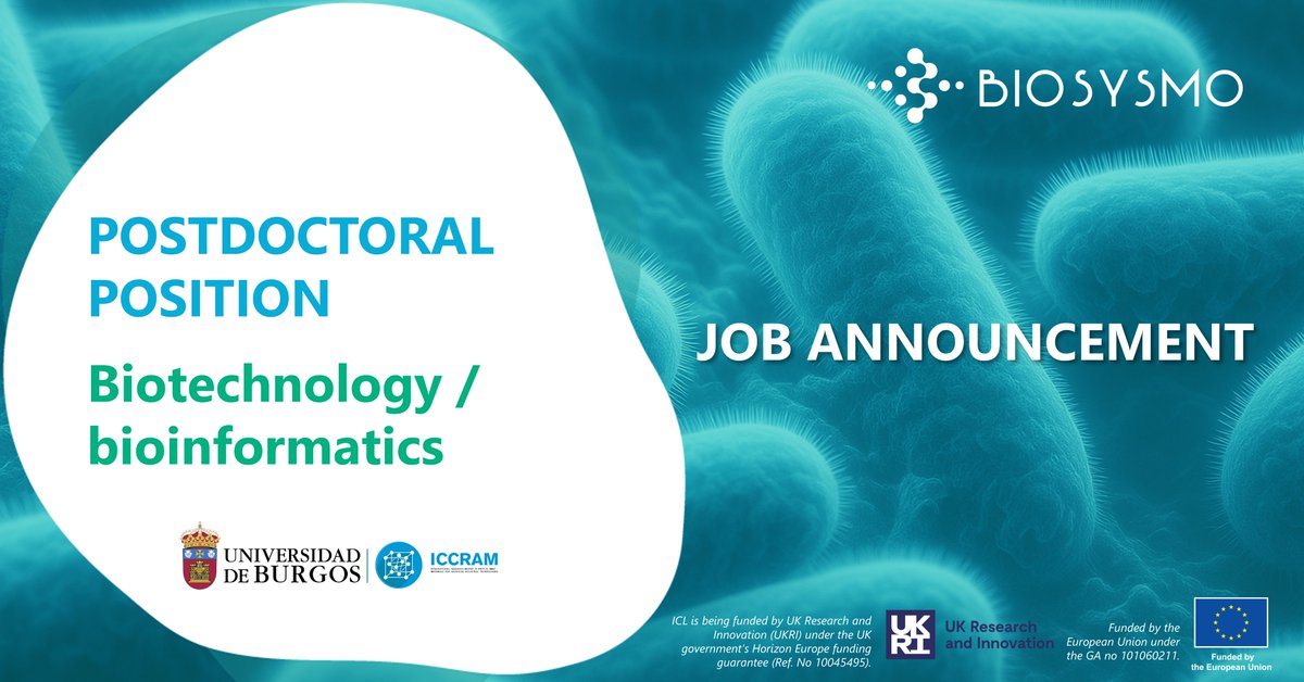 BIOSYSMO Project (@biosysmo) on Twitter photo 🚨 We're Hiring! Our partner, <a href="/ICCRAM_UBU/">ICCRAM | Universidad de Burgos</a>, is looking for a talented Postdoctoral Researcher in Biotechnology / Bioinformatics! 🧬💻
🔍 Are you passionate about cutting-edge research?
📍 Join a dynamic, international team in Burgos, Spain, and contribute to impactful projects 🚨 We're Hiring! Our partner, <a href="/ICCRAM_UBU/">ICCRAM | Universidad de Burgos</a>, is looking for a talented Postdoctoral Researcher in Biotechnology / Bioinformatics! 🧬💻
🔍 Are you passionate about cutting-edge research?
📍 Join a dynamic, international team in Burgos, Spain, and contribute to impactful projects