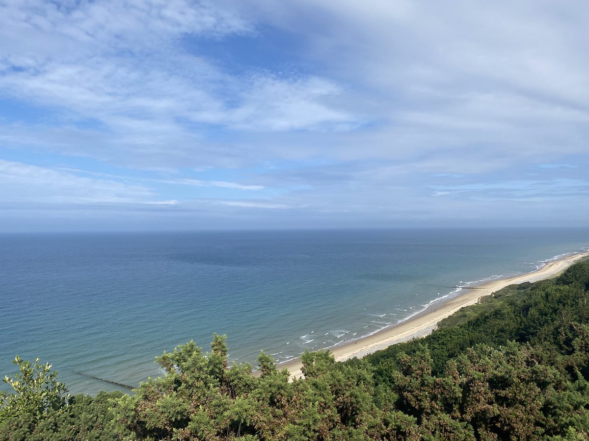 ThatOneSycamore's tweet image. To the Lighthouse!
