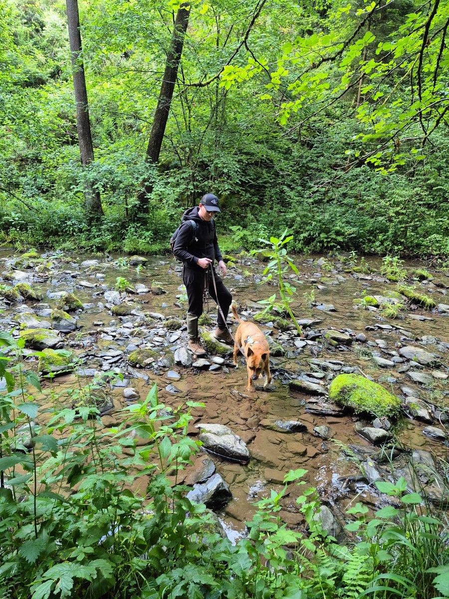 I'm feeling generous today. Are you struggling with trading? I can maybe help you push in the right direction.

I'm giving away a free call with me for 1 hour to assess what you need to work on.

All you need to do is LIKE, RT &amp; comment "CALL". Must follow me.