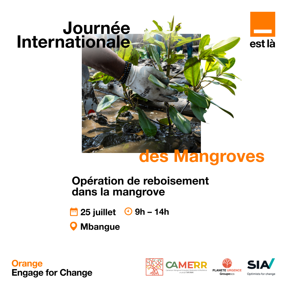 🌱 Restaurer les mangroves, c’est agir pour la planète !
Rejoignez-nous le 25 juillet dès 9 h à Mbangue pour une grande opération de reboisement avec Orange Cameroun, Planète Urgence &amp; SIA.
Chaque arbre compte !

#OrangeEstLà #OrangeEngageforChange