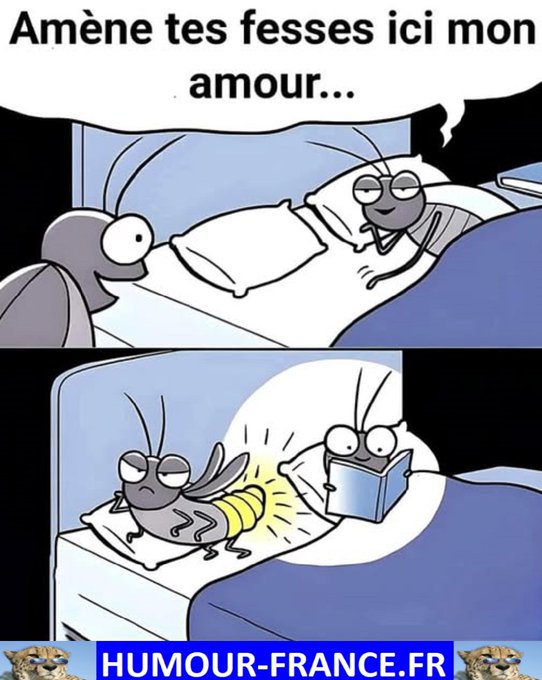 text alternatif