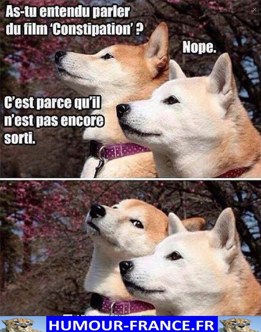 text alternatif