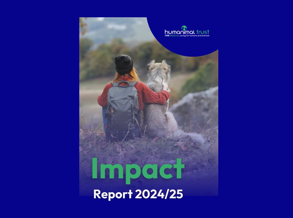 HumanimalTrust's tweet image. We’re excited to share our 2024-25 Impact Report.✨
The report sets out a year of remarkable progress and transformation in our mission to advance One Medicine - a world where humans and animals benefit equally from medical progress.
👉 humanimaltrust.org.uk/impact-reports/
#OneMedicine