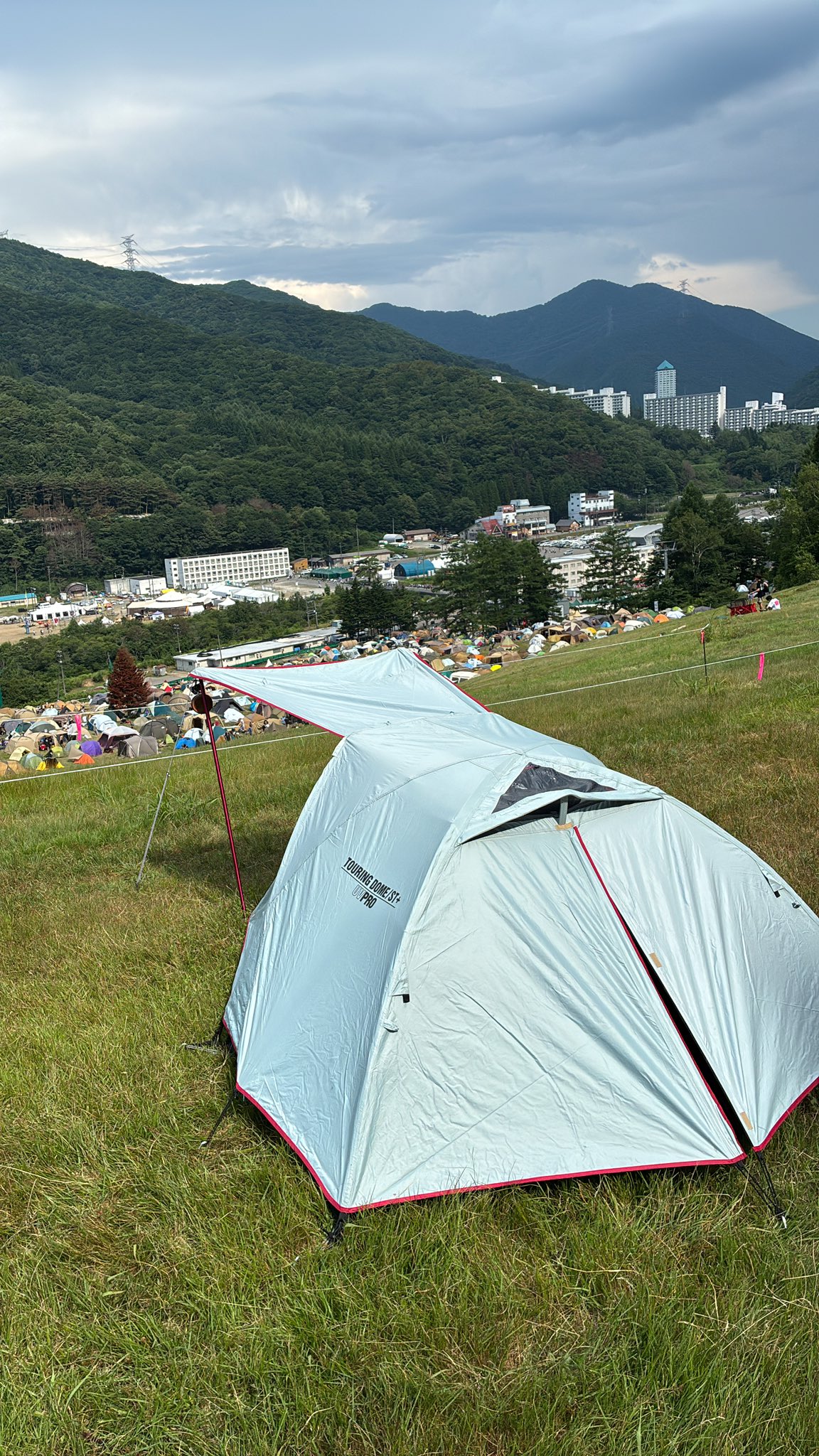 ハミングバード⟡.* ハミングバード on X: 