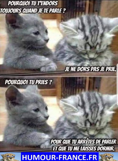 text alternatif