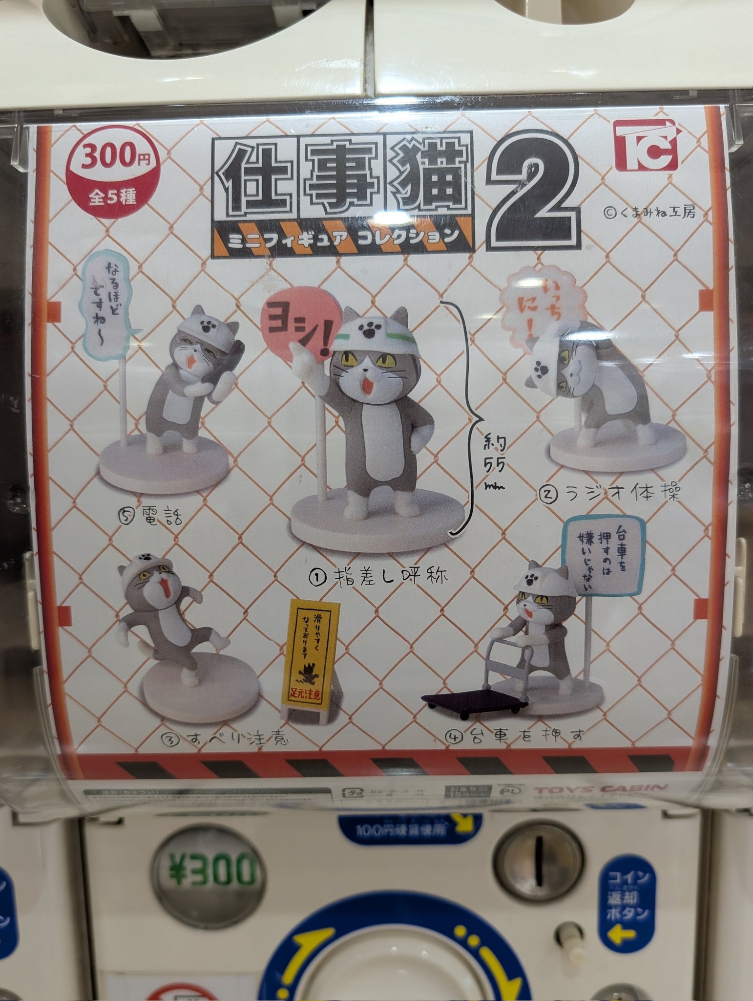 くま₍ᐢ⑅•ᴗ•⑅ᐢ₎   27点 くまみみ🪶 on X: 