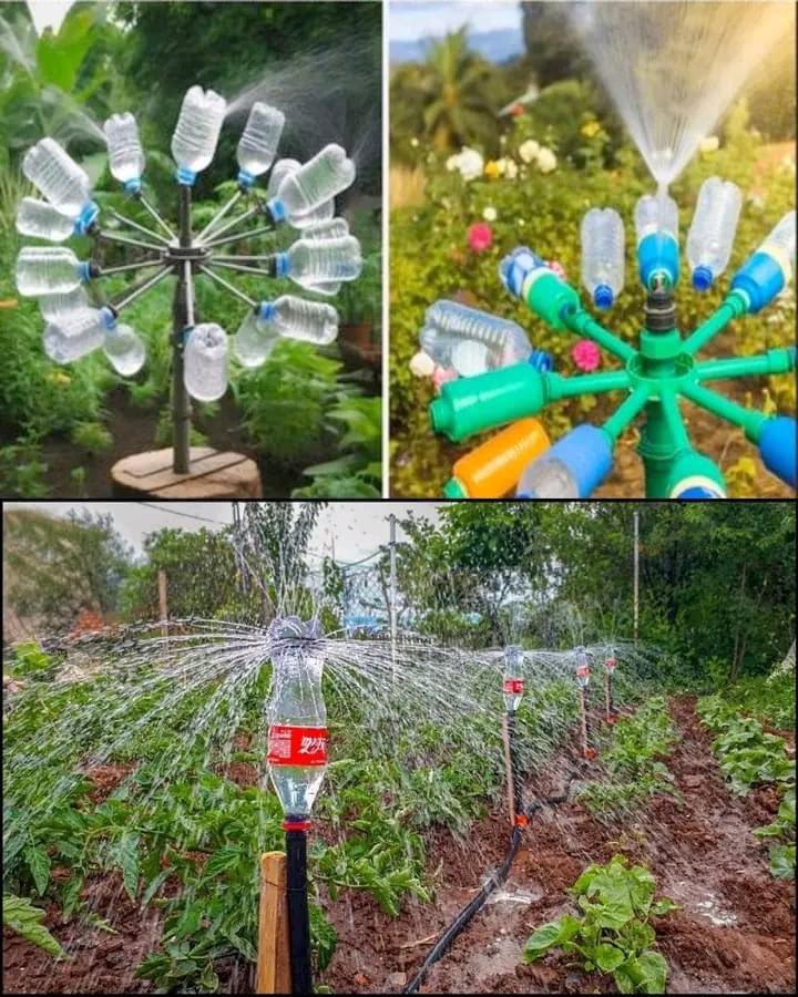 Hello Farmers!
Reuse, recycle, and reduce plastic wastes while irritating our crops and conserving water and soil resources hence High productivity🍓🌽🍏🌾
#SustainableFarming #Recycling
#ConservationAgriculture 
<a href="/AimePatrickIra1/">Aime Patrick Irakiza 🇷🇼</a>