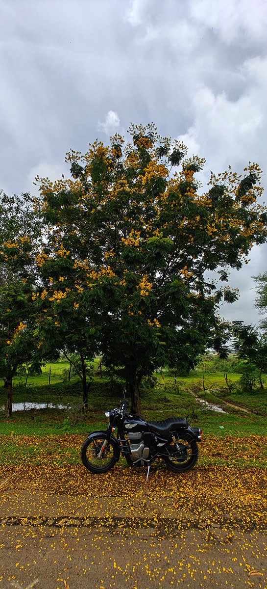 He Who Remains tweet media