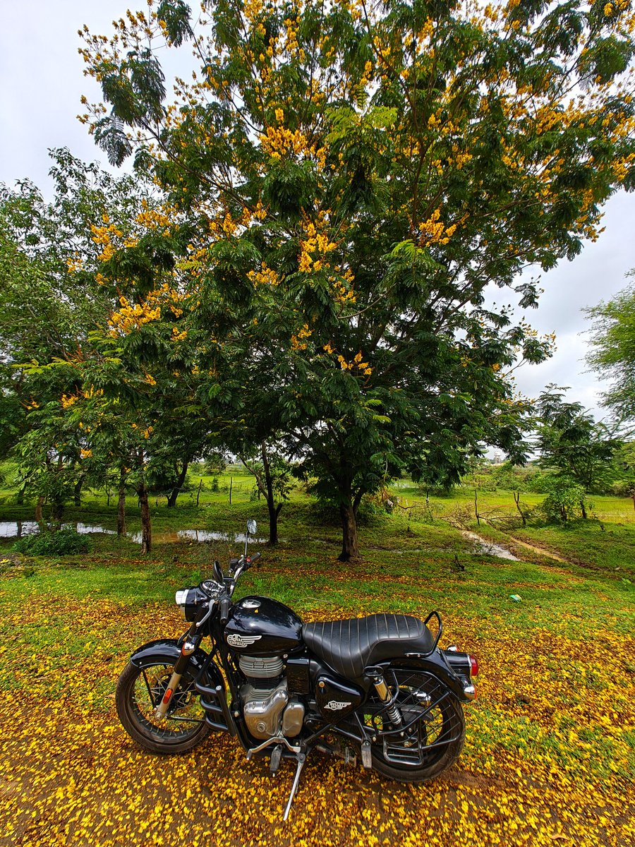 He Who Remains tweet media