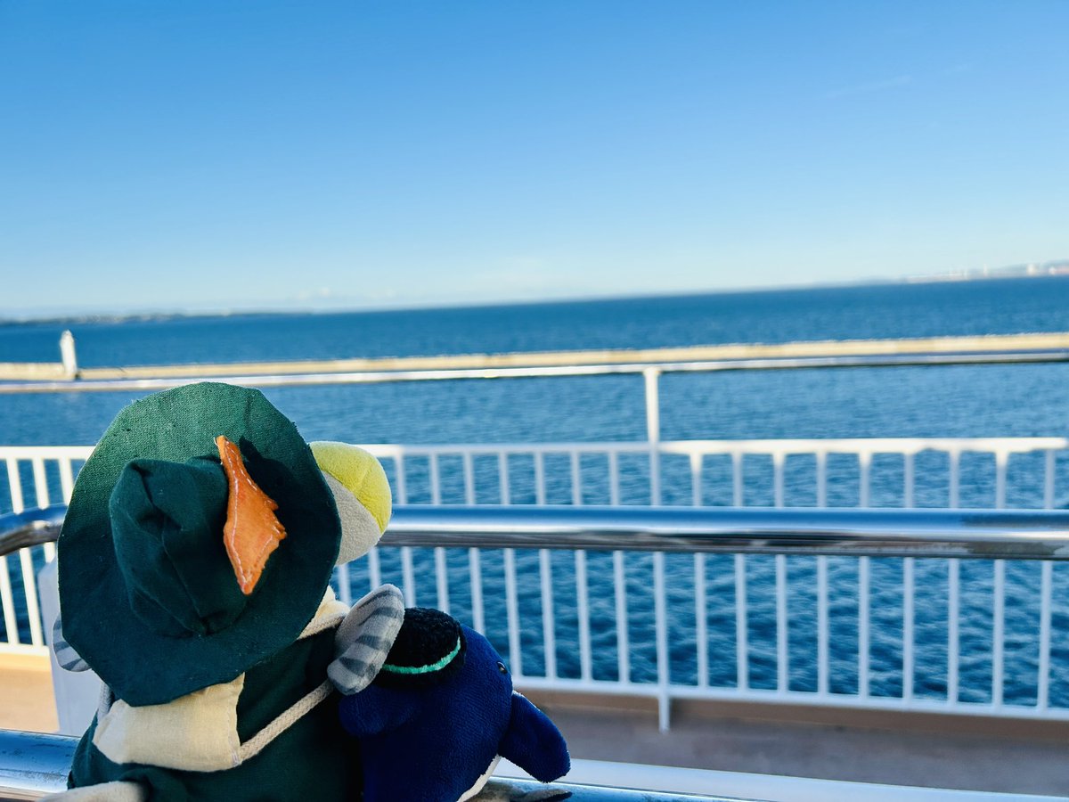 tsukubane501's tweet image. さんふらわあ乗船！さらば九州！
