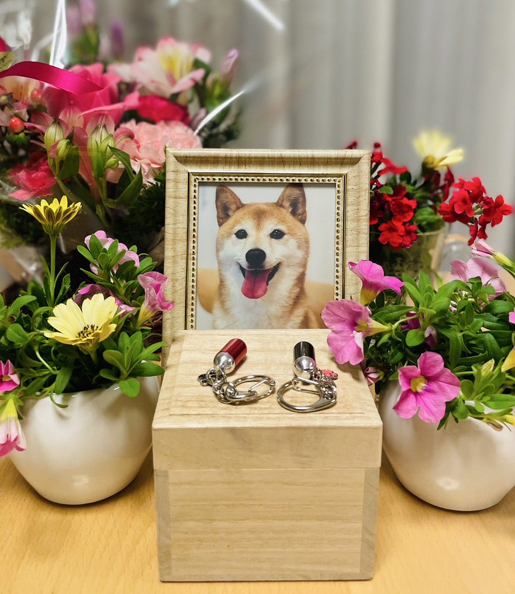 いままでありがとう、、