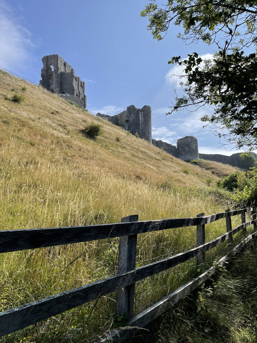 gabriel_uk21's tweet image. #corfe