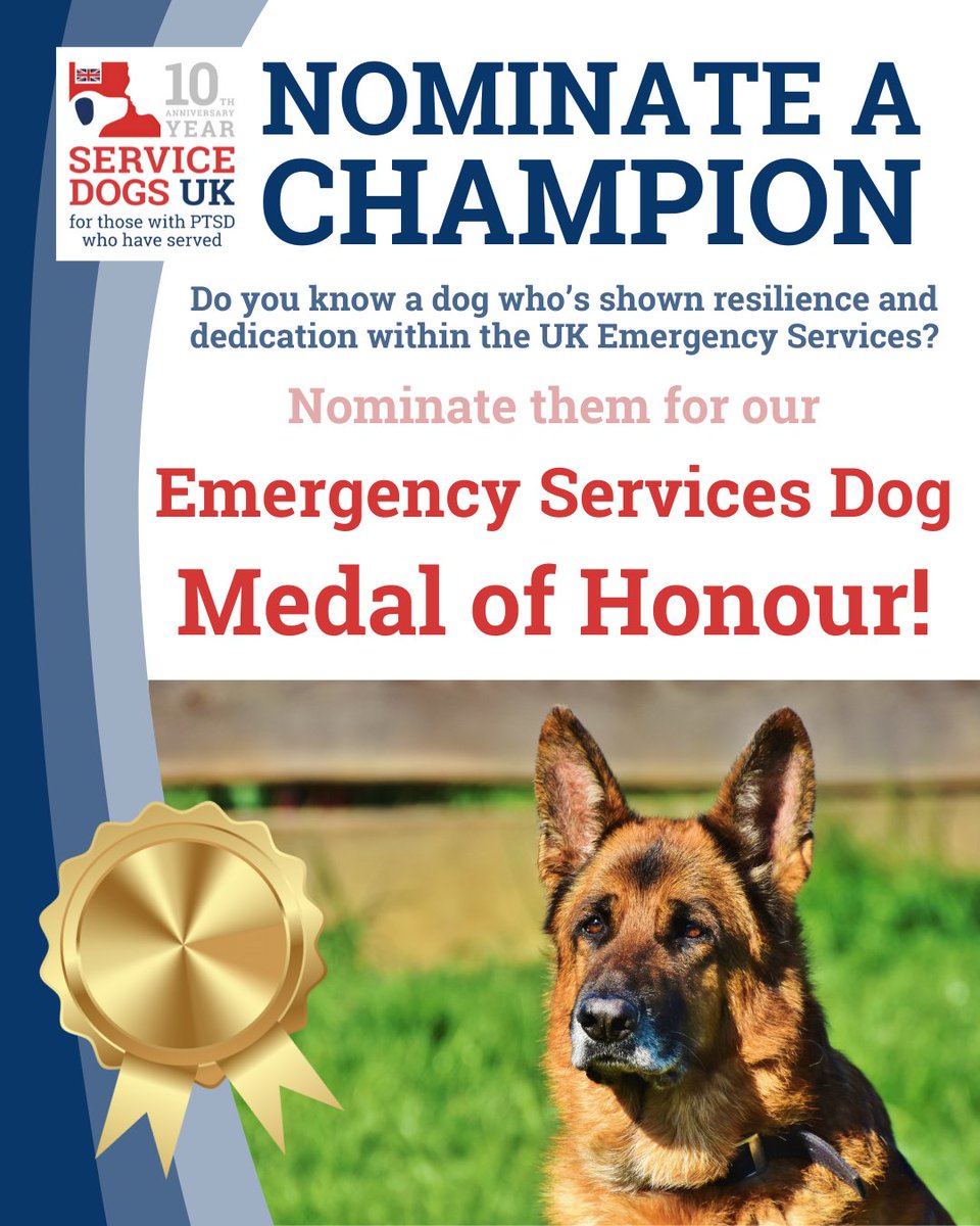ServiceDogsUK's tweet image. Do you know a dog who is making a difference in the Emergency Services?
Whether they’ve shown bravery, dedication, or outstanding service alongside UK emergency teams, it’s time to shine a spotlight on their incredible work 🐾❤️
Submit your nomination 👉 servicedogsuk.org/dmad-emergency…