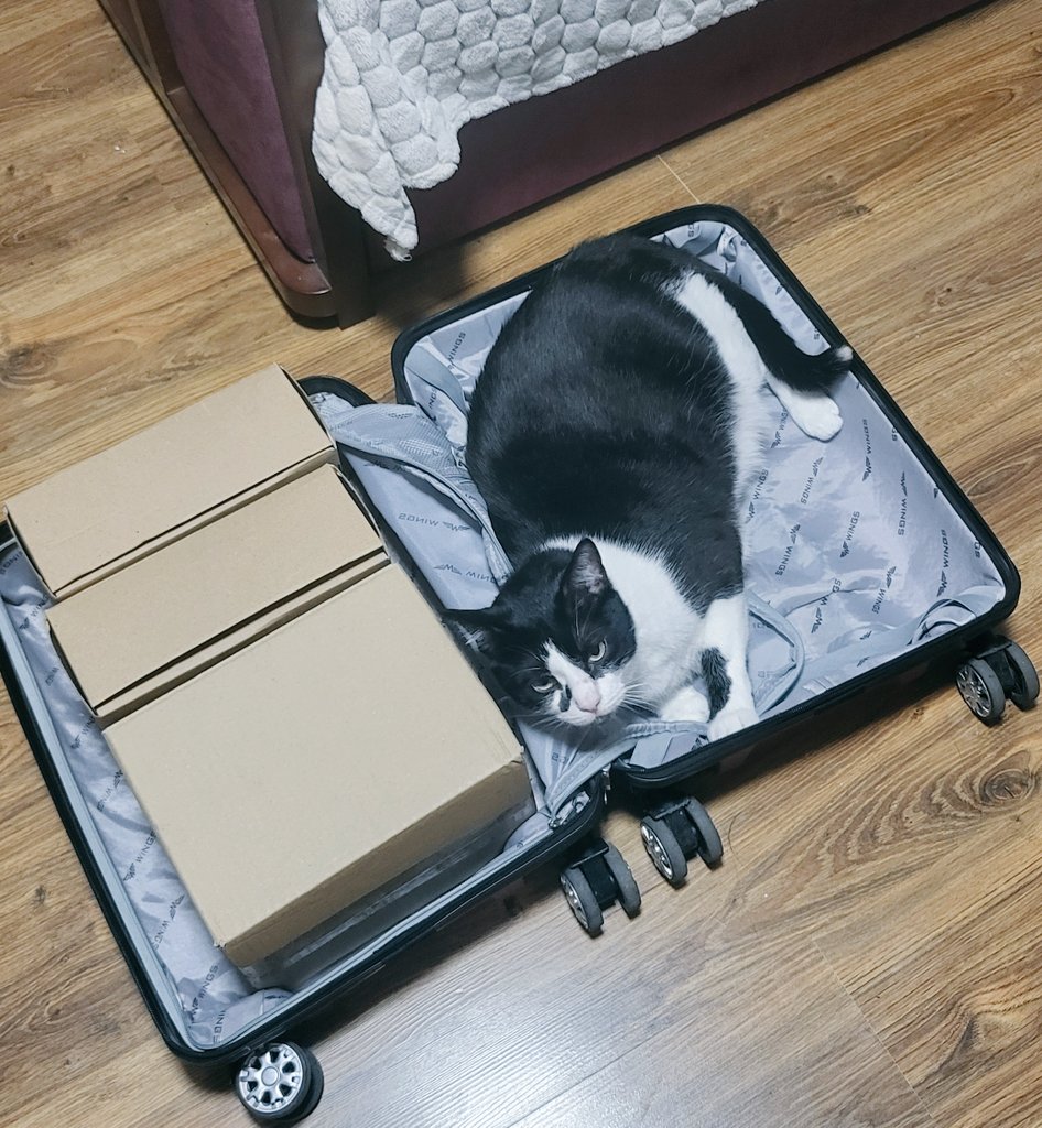 Порадьте адекватну кішчачу стоматологію на правому березі, будь ласка, бажано Оболонь, Виноградар, Куренівка, Поділ - близько того
Буду дуже вдячна
Еней теж)