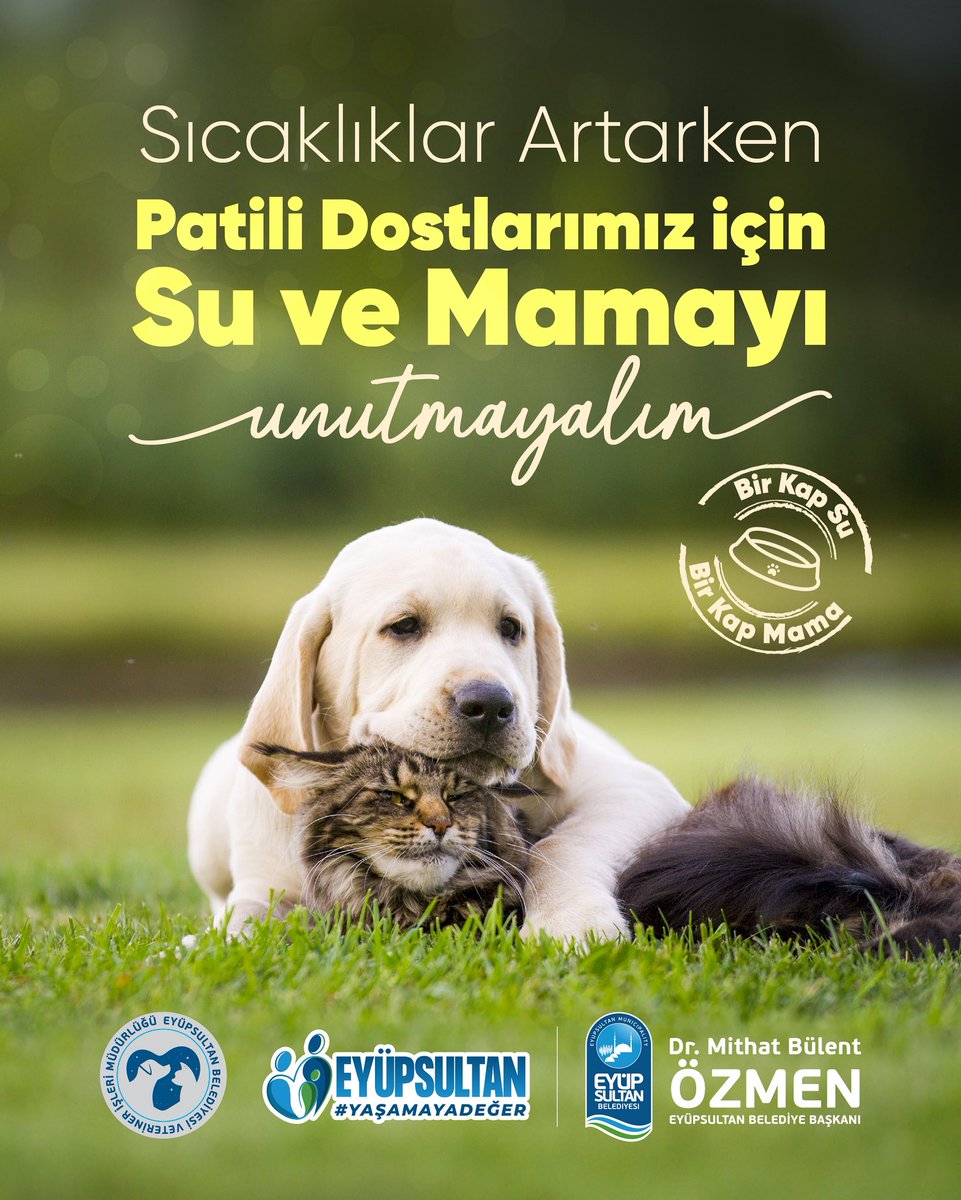Sıcak havalarda patili dostlarımızı unutmuyoruz! 🐾
Bir kap su, bir kap mama ile onların da hayatına dokunalım. 
Unutmayalım; küçük bir iyilik, büyük bir fark yaratır.

#BirKapSuBirKapMama #Eyüpsultan #PatiliDostlar #YaşamayaDeğer