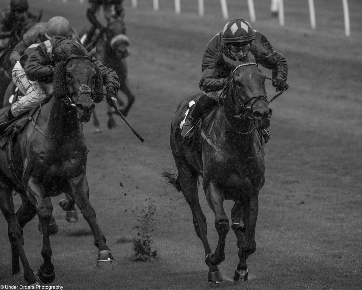 UnderOrdersPhotography tweet media