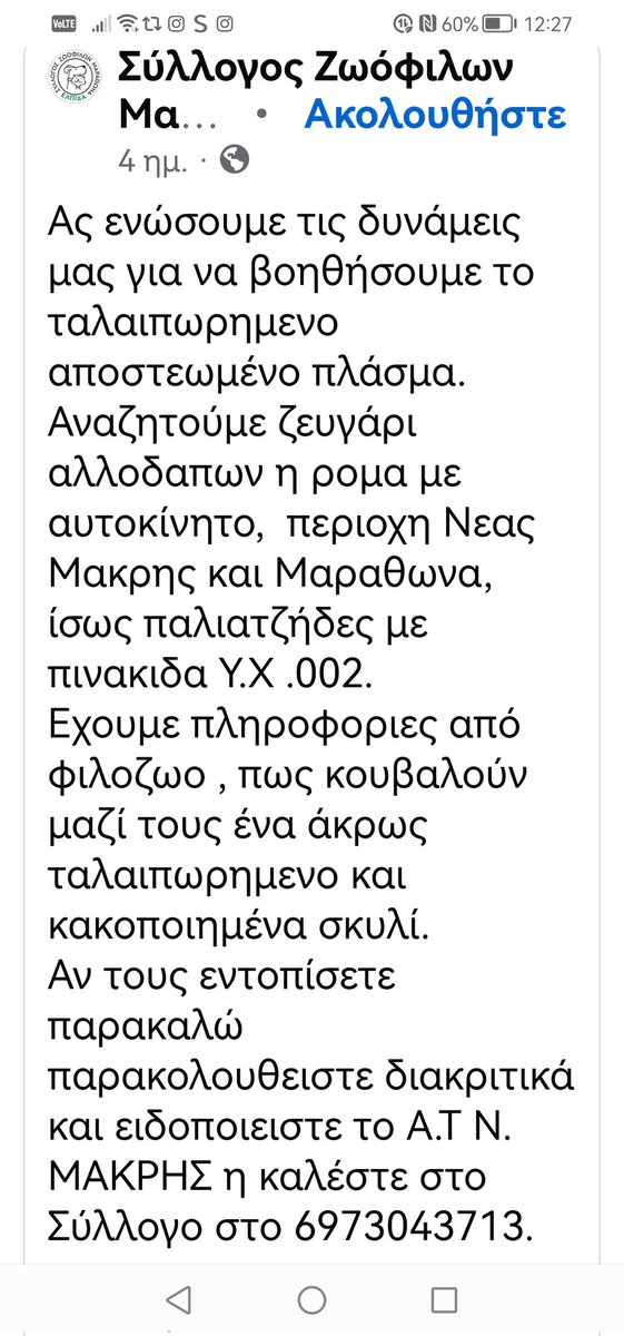 Christinalirou2's tweet image. Περιοχή νέας Μάκρης κ Μαραθώνα ‼️🆘‼️🆘‼️🆘‼️. Ζευγάρι αλλοδαπών ή Ρομα Αναζητείται από τους εθελοντές για βασανισμό σκυλου. Αν τους εντοπίσετε τηλεφωνείτε είτε στο ΑΤ της περιοχής είτε στον αριθμό του συλλόγου. ΕΠΕΙΓΕΙ ΝΑ ΒΡΕΘΕΊ ΤΟ ΣΚΥΛΙ‼️🆘‼️🆘‼️