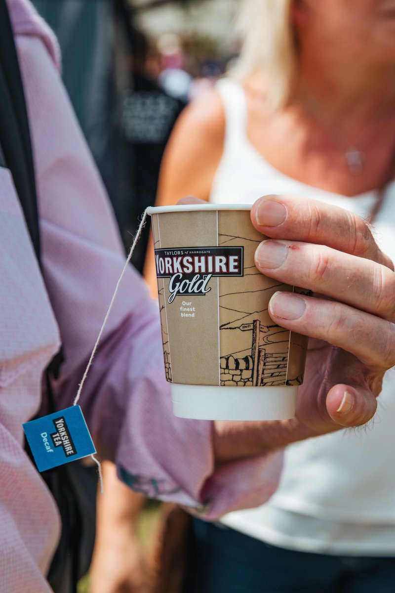 YorkshireTea's tweet image. Are you Gold or Decaf? ANSWER ME!!