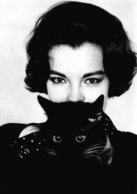 Jacted7's tweet image. Romy Schneider
by Larry Shaw
1964
