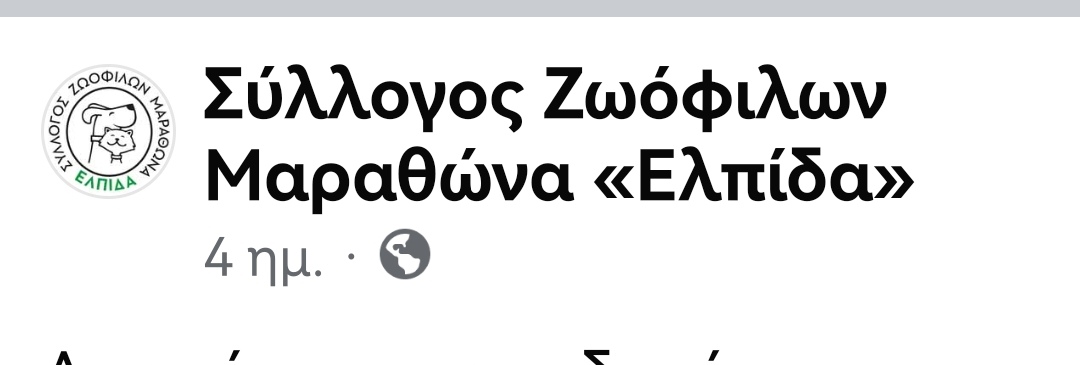 Christinalirou2's tweet image. Περιοχή νέας Μάκρης κ Μαραθώνα ‼️🆘‼️🆘‼️🆘‼️. Ζευγάρι αλλοδαπών ή Ρομα Αναζητείται από τους εθελοντές για βασανισμό σκυλου. Αν τους εντοπίσετε τηλεφωνείτε είτε στο ΑΤ της περιοχής είτε στον αριθμό του συλλόγου. ΕΠΕΙΓΕΙ ΝΑ ΒΡΕΘΕΊ ΤΟ ΣΚΥΛΙ‼️🆘‼️🆘‼️
