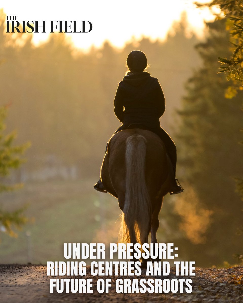 Have your say on the future of grassroots equestrianism in Ireland by filling out the short survey below. 
theirishfield.ie/sport-horse/ne…