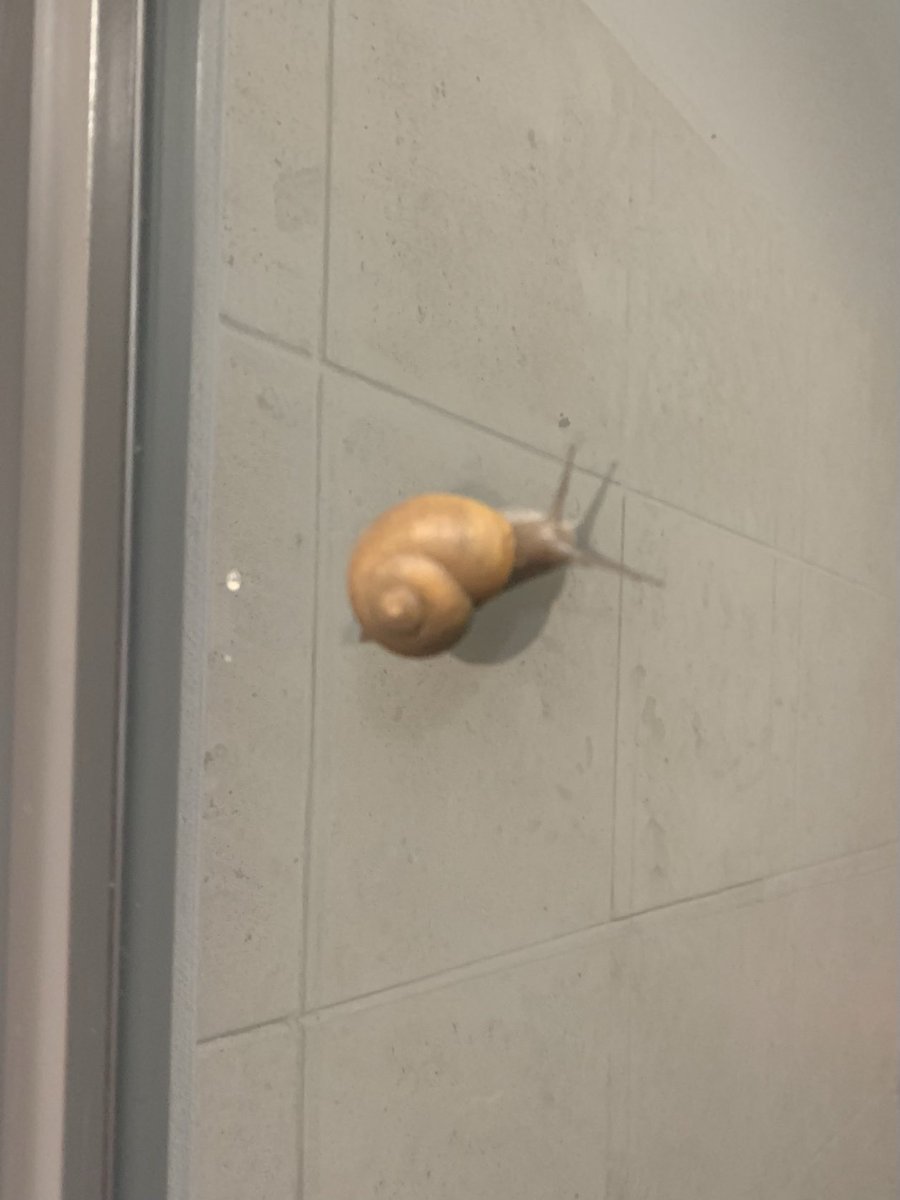 When you see this first thing in the morning, you get the feeling it’s gonna be a slow day.