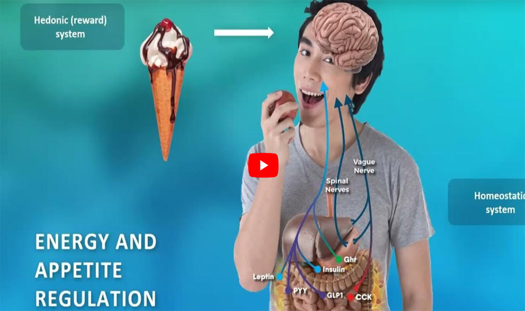 EASOobesity's tweet image. Rare Genetic Obesities - Video Resource 📺
This video resource explores our understanding of rare genetic obesities. It includes information on what we can learn from children and adults with hypothalamic obesity due to rare genetic disorders. #obesity
easo.org/video/rare-gen…