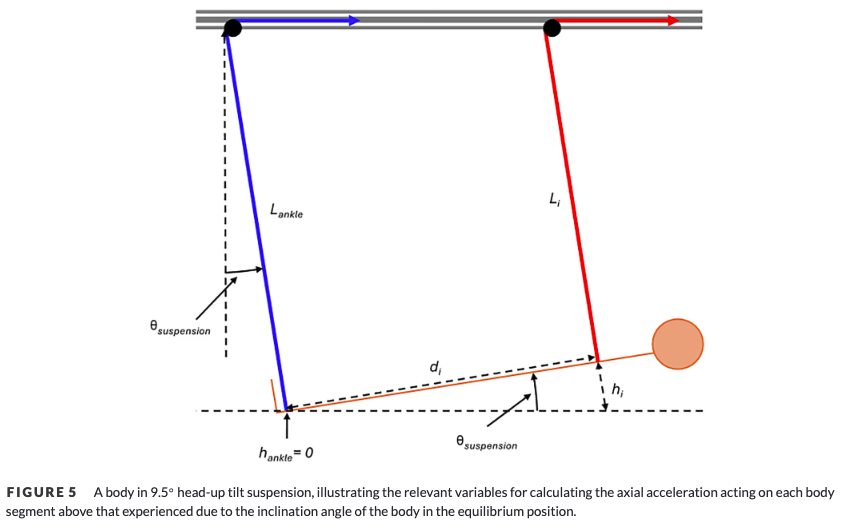 _LukeHughes_'s tweet image. Latest from @Patrick_M_Swain PhD and our @NUaerospacemed lab, where we demonstrate hypogravity simulation with our bespoke Variable Gravity Suspension System in @ExpPhysiol
A key paper as we move toward our new Space Physiology lab in @NorthumbriaUni North East Space Skills and…