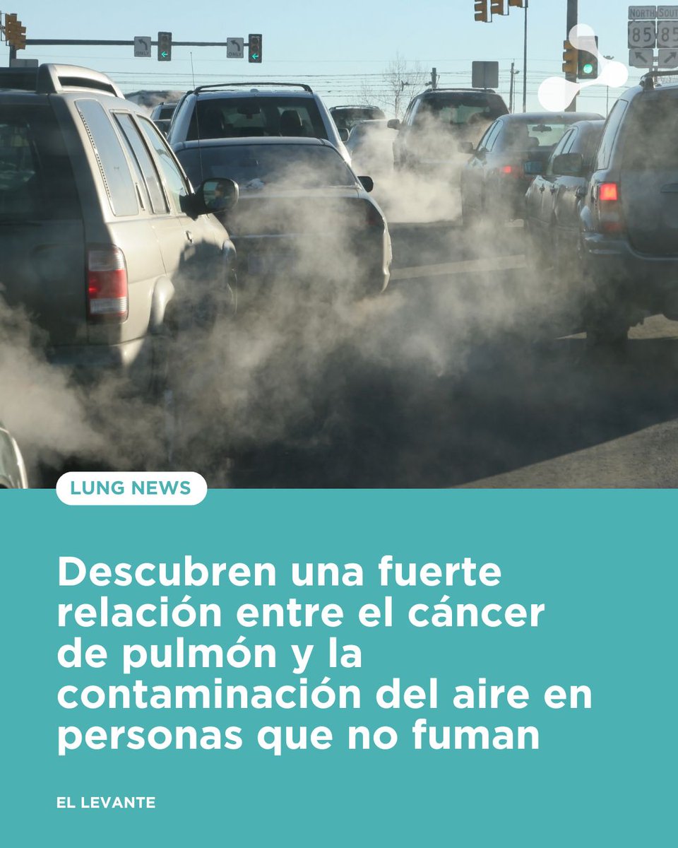 gecp_org's tweet image. ⭕Un estudio publicado en Nature revela que la contaminación del aire puede causar mutaciones genéticas asociadas al cáncer de pulmón, incluso en personas que nunca han fumado. ➡️Una llamada de atención sobre salud y medioambiente.#contaminacion #saludpublica…