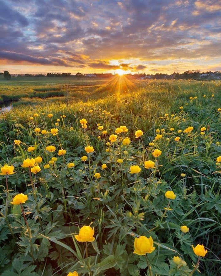 Good morning☀️

Wishing you a Happy and wonderful Thursday🤍