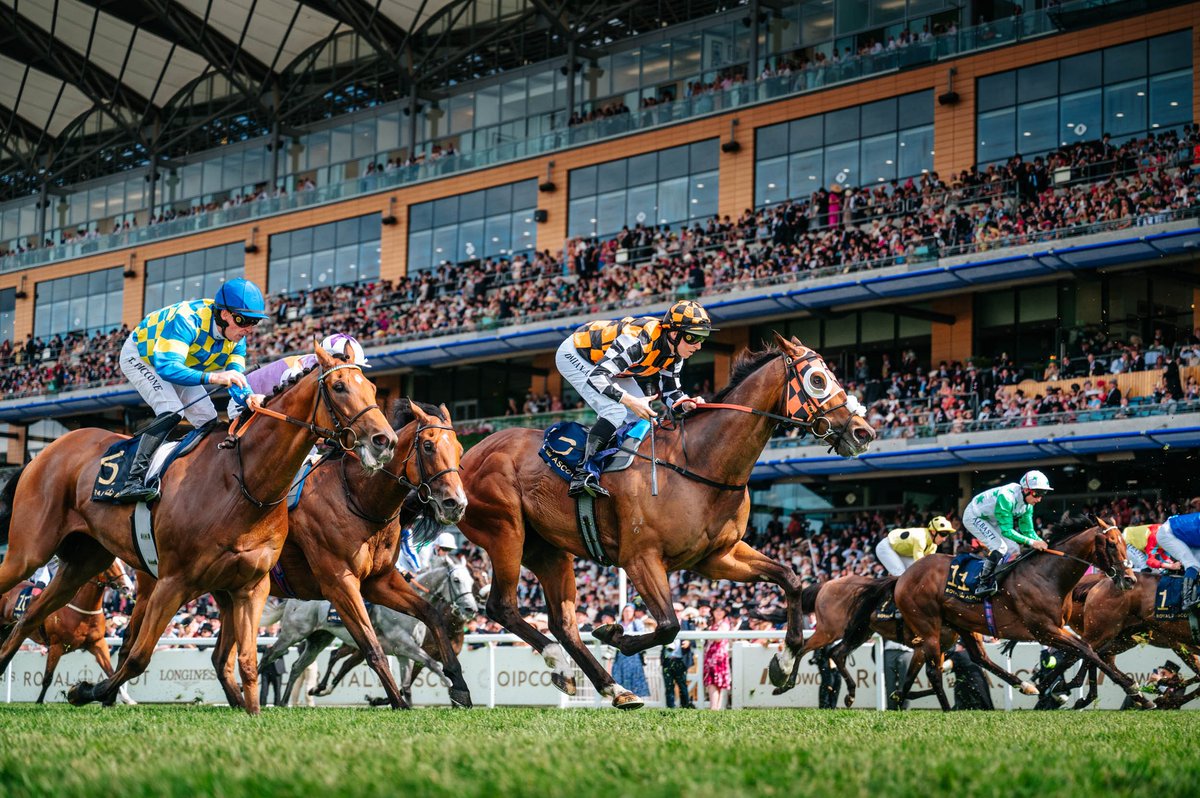 $2.9m prizemoney 
53 starts
21 individual jockeys
15 Group 1 starts (four placings)
8 wins
One hell of a ride.

Thanks for the memories Astro. Enjoy retirement. 🧡🖤