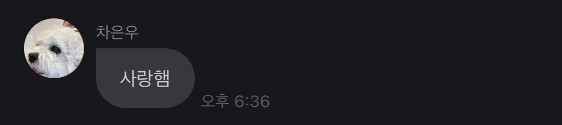 eunwooig_'s tweet image. 