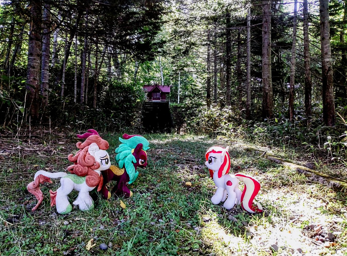 ここは上登別神社
Poniko : 何処に？
Cinder : 奥まった所に祠が在ります
Autumn : 例のポニーは出ませんけど…