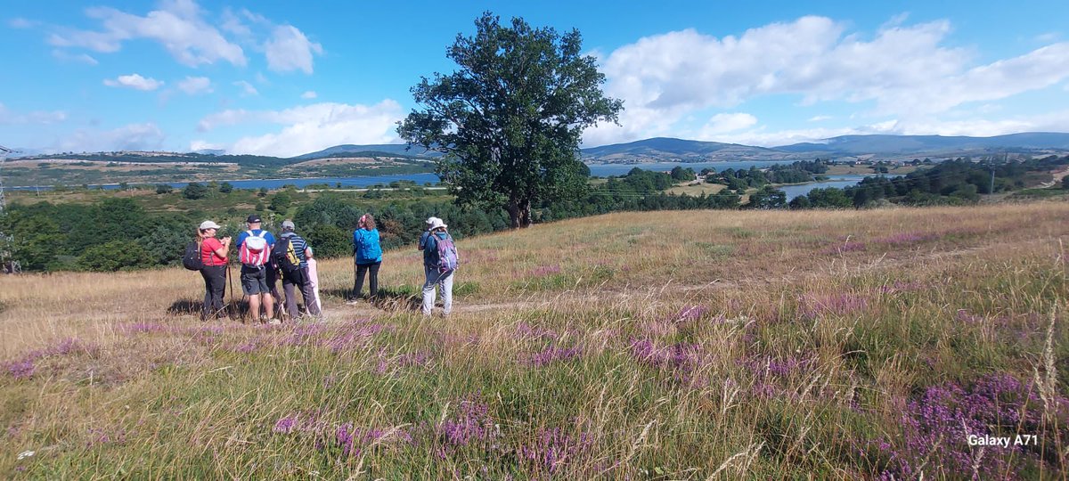 Llenamos el verano de oportunidades de para descubrir los Espacios Naturales Protegidos con planes para todo tipo de públicos. Mostramos instantes de actividades en el entorno del Embalse del Ebro ¿te apetece descubrir la naturaleza que nos rodea? natureacantabria.com