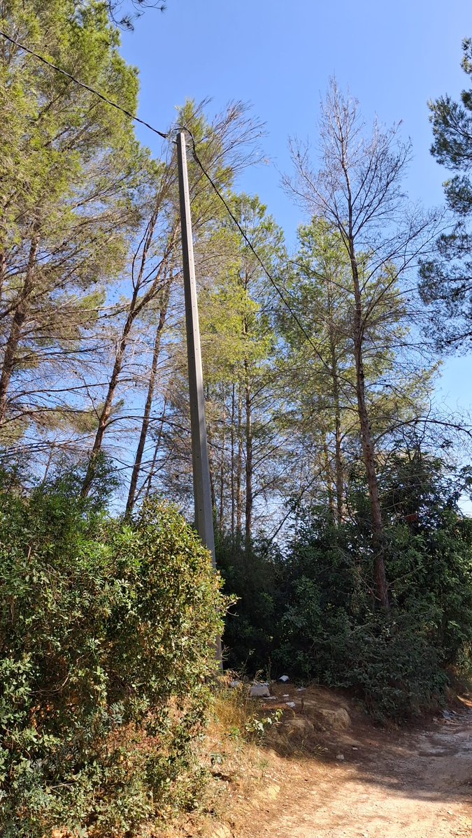 AMGVA's tweet image. Recordamos los ayuntamientos No son competentes en suelo forestal, es la Generalitat.
Nos llegan quejas d particulares d cartas "amenazantes" d los Aytos para q limpien parcelas (por ordenanzas agrícolas) y por interés d casa d vecinos.
Es un problema d mal urbanismo y vecindad.