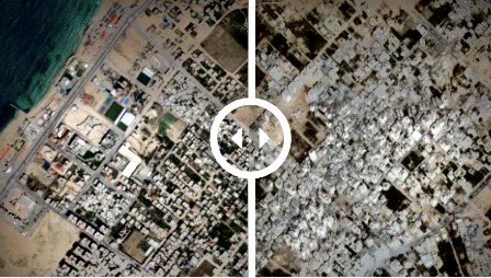 AntonellaNapoli's tweet image. Sono tutte #fakenews: questa è l’unica giustificazione di chi continua a non condannare il massacro di #Gaza.
Quali sarebbero le fake? Gli spari sulla gente in fila per il cibo? Un popolo annientato e migliaia di bambini uccisi senza pietà? L’uso della fame come arma di guerra?…
