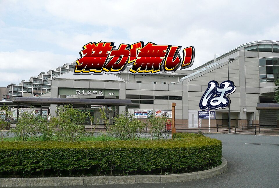 takegyo07's tweet image. 