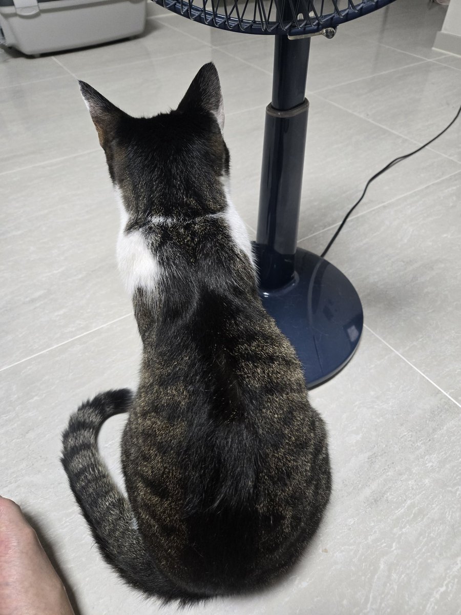 플레이브 콘서트 보는것 때문에 대만까지 가다니..