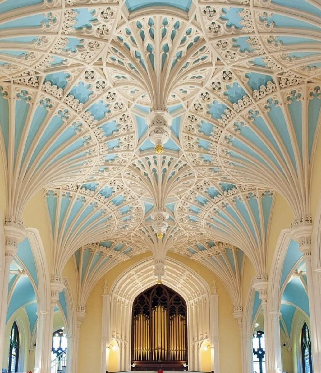 xmuse_'s tweet image. This ceiling is pure architectural poetry.