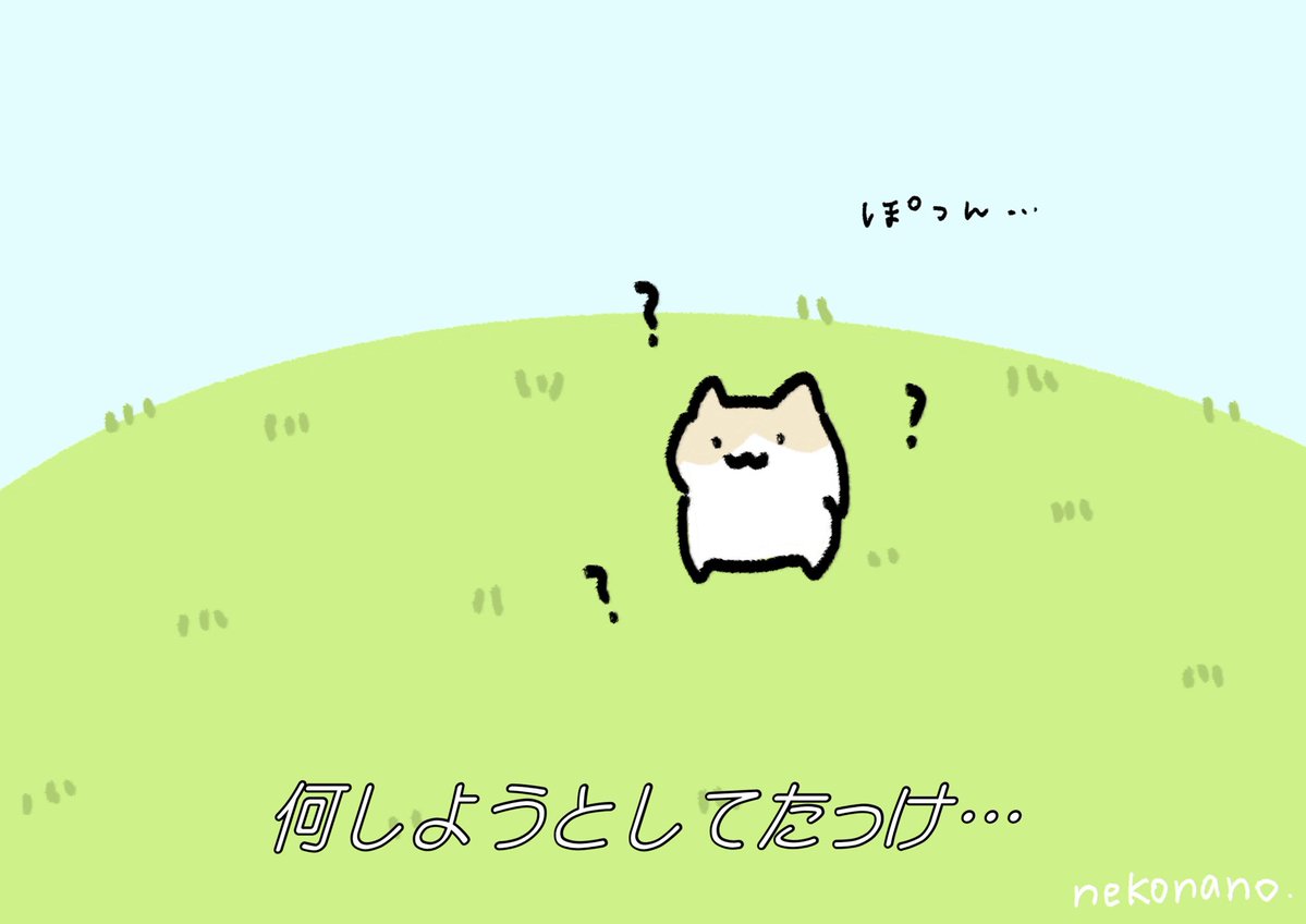 nekonano_28's tweet image. 別の事すると忘れちゃうの。ねこなの。